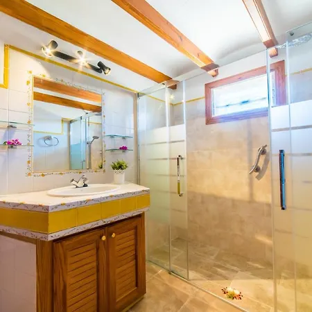 Country house Ideal Mallorca - Moli Pollenca