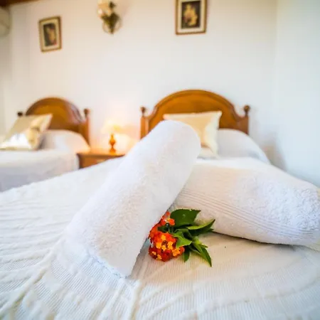 Landhuis Ideal Mallorca - Moli *