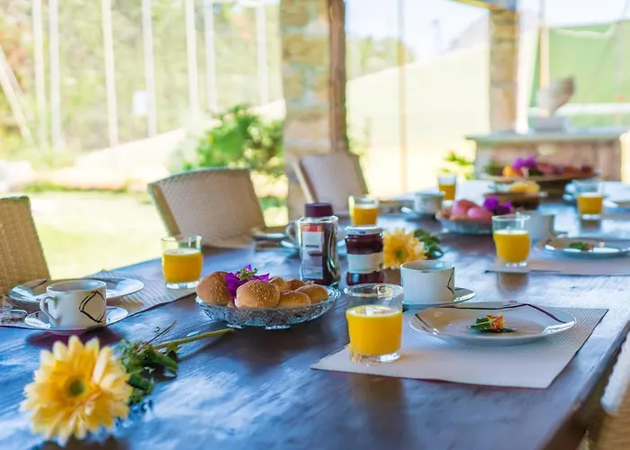 Ideal Mallorca - Moli Польєнса